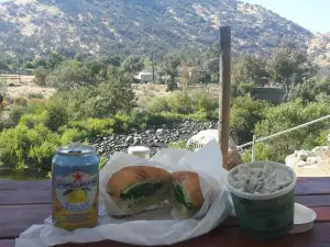 Sierra Subs & Salad