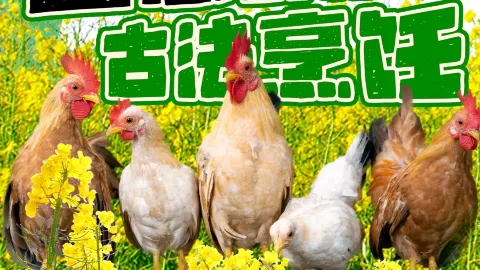 本地鲜土菜馆 in Yi County