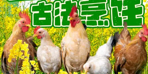 本地鮮土菜館·土雞·土鴨