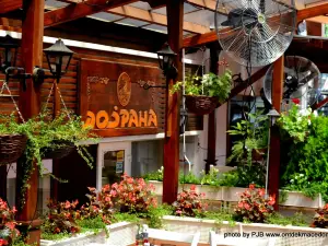 Dojrana