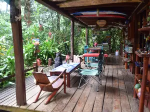 Up in the Hill - Coffee Shop & Organic Farm
