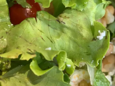 POPAJ pizza&pasta&grill