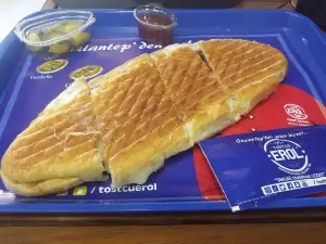 Tostcu Erol