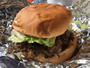 The Burger Shop