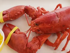 Rye Harbor Lobster Pound