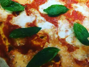 Vito's