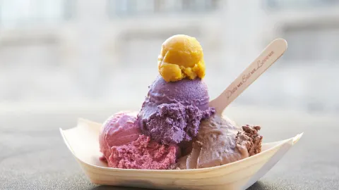 iceDate - The vegan organic Eismanufaktur in ミュンヘン