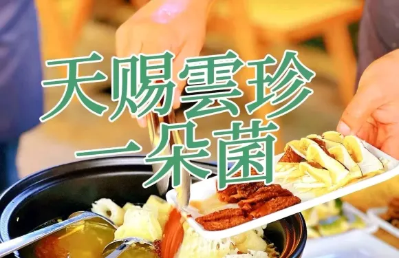天賜雲珍一朵菌·景邁山民族特色餐廳