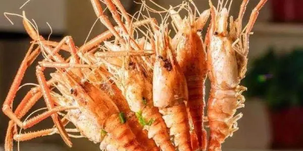 단저우 현지 풍미의 식당 베스트 5