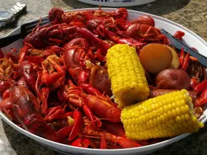 The Crawfish House