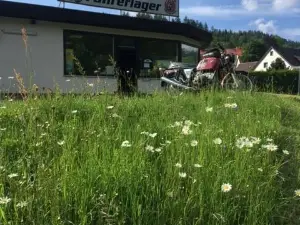 Taste Of Speed - Fahrerlager
