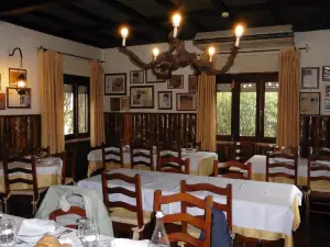 Chico Elias