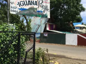 Iguana Pacific Soda