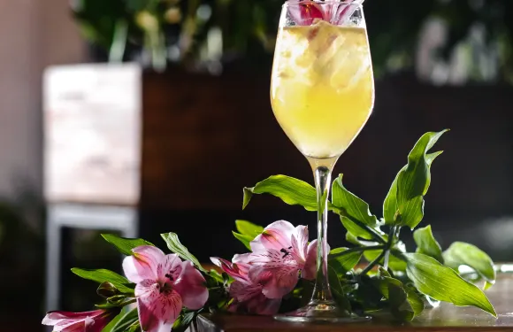 Barashka Dine & Drink