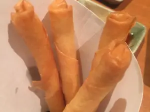 Inuyama Joka Showa-ya Nekotei