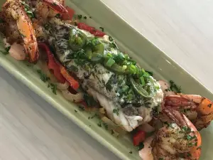 Dorado's