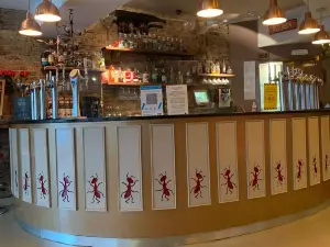 Mr Ant's
