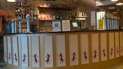 Mr Ant's Bar & Cafe in 赫克瑟姆
