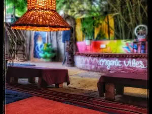Organic Vibes Cafe