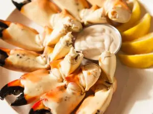 Captain & Krewe Seafood Market & Raw Bar