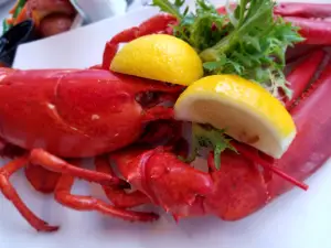 Captain Bill's