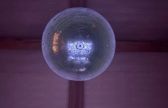Mimi Disco