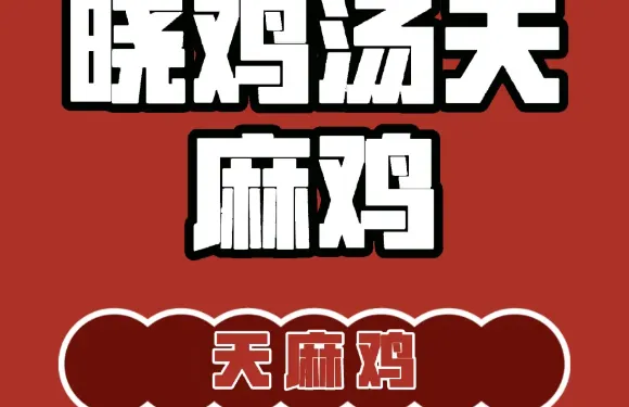 曉雞湯昭通天麻火腿雞