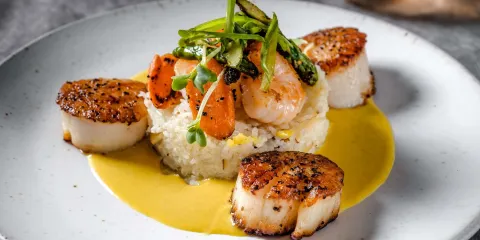 Tommy Bahama Restaurants & Marlin Bars