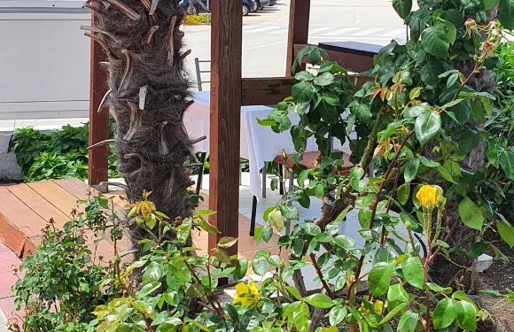 Restoran Pizzeria Tomislav