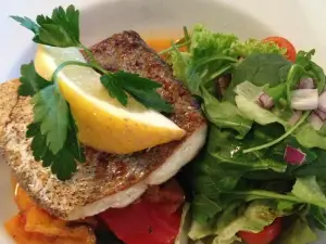 The Olive Tree Mediterranean Restaurant & Pizzeria
