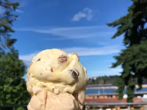 Scoops by the Sea