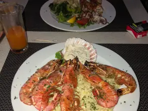 Stagnum