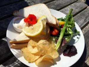 Sandleigh Tea Room & Garden