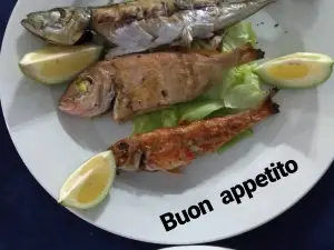 U marinotu