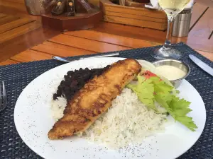 Tambor Tropical Bar & Restaurant