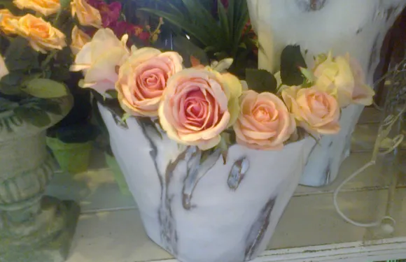 Fynbos Shop and Coffee Shop