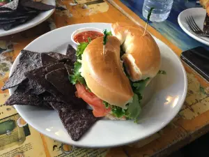 Blue Moose Coffeehouse