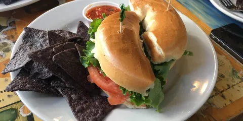 The Blue Moose Cafe