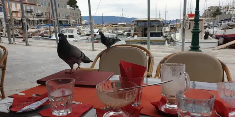 Tassos Cafe