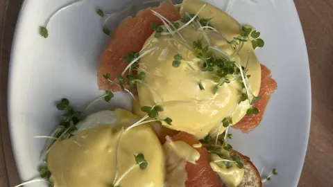 Bebo Café in Hatfield