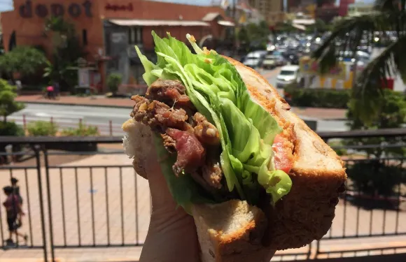 Speciality Sandwich Richly