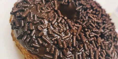 The Donut
