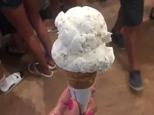 Ice Cream Smuggler