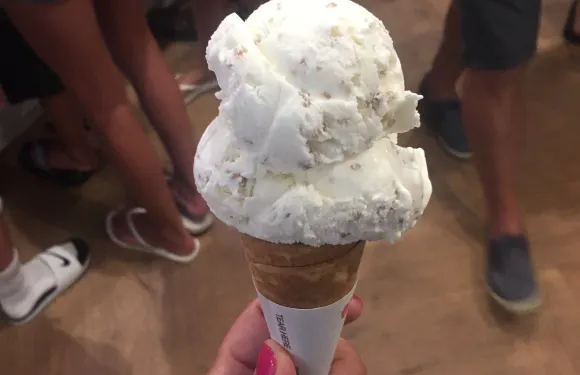 Ice Cream Smuggler