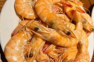 Popular dishes
