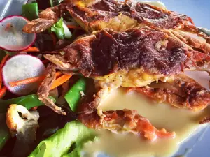 Terrapin Restaurant