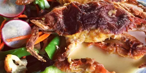 Terrapin Restaurant