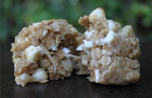 Coyote Oaties Gourmet Oatmeal Cookies