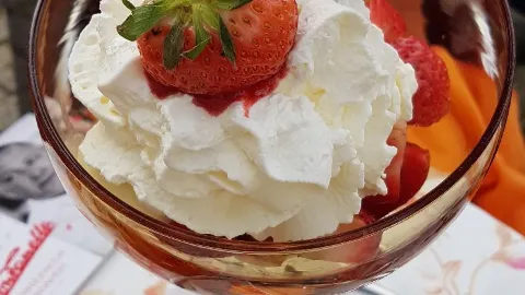 Eis Fontanella in Mannheim