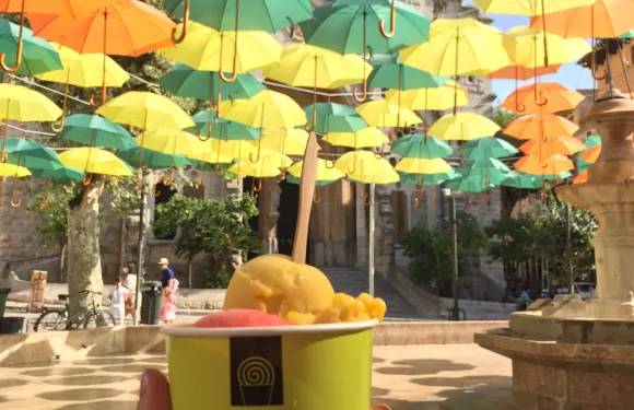 Ca'n Pau Gelats Artesans
